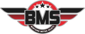 LOGO BMS TRANSPARAN